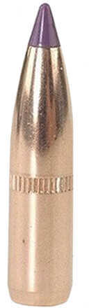 Nosler Spitzer Hunting Ballistic Tip 6MM Caliber 90 Grain 50/Box Md: 24090 Bullets