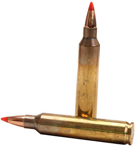 204 Ruger 32 Grain Ballistic Tip 50 Rounds Fiocchi Ammunition