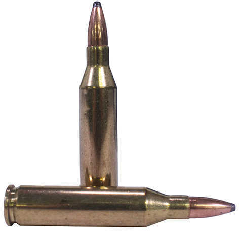 243 Win 100 Grain Soft Point 20 Rounds Federal Ammunition 243 Winchester