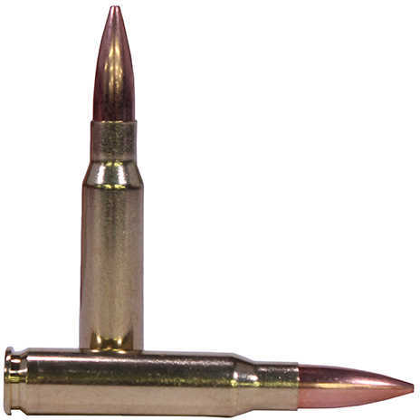 308 Win 175 Grain Hollow Point 20 Rounds Federal Ammunition 308 Winchester