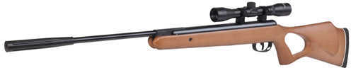 Ben Titan 22 Caliber Hardwood Stock Nitro Piston Rifle