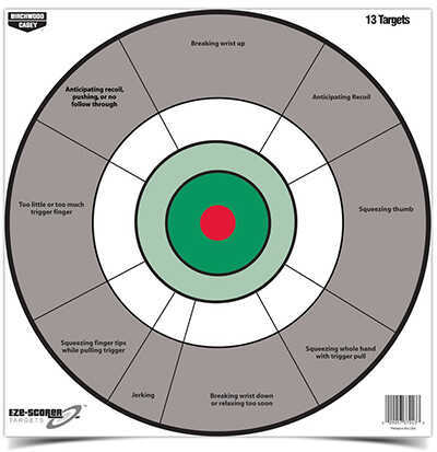 Birchwood Casey 37245 EZE-Scorer Handgun Trainer Paper 12" Bullseye Black/Gray/Green/Red/White 13 Pack