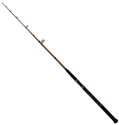 Daiwa Rod-ft Surf 10 2pc