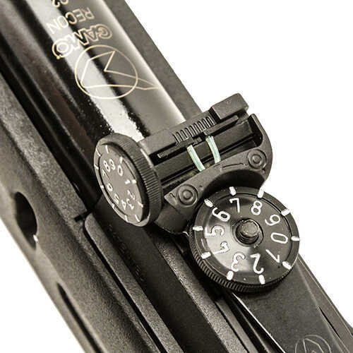 Gamo 6110026154 Whisper Recon G2 .177 Pellet Black, All Weather Synthetic Stock, Illuminated Green Dot Sight