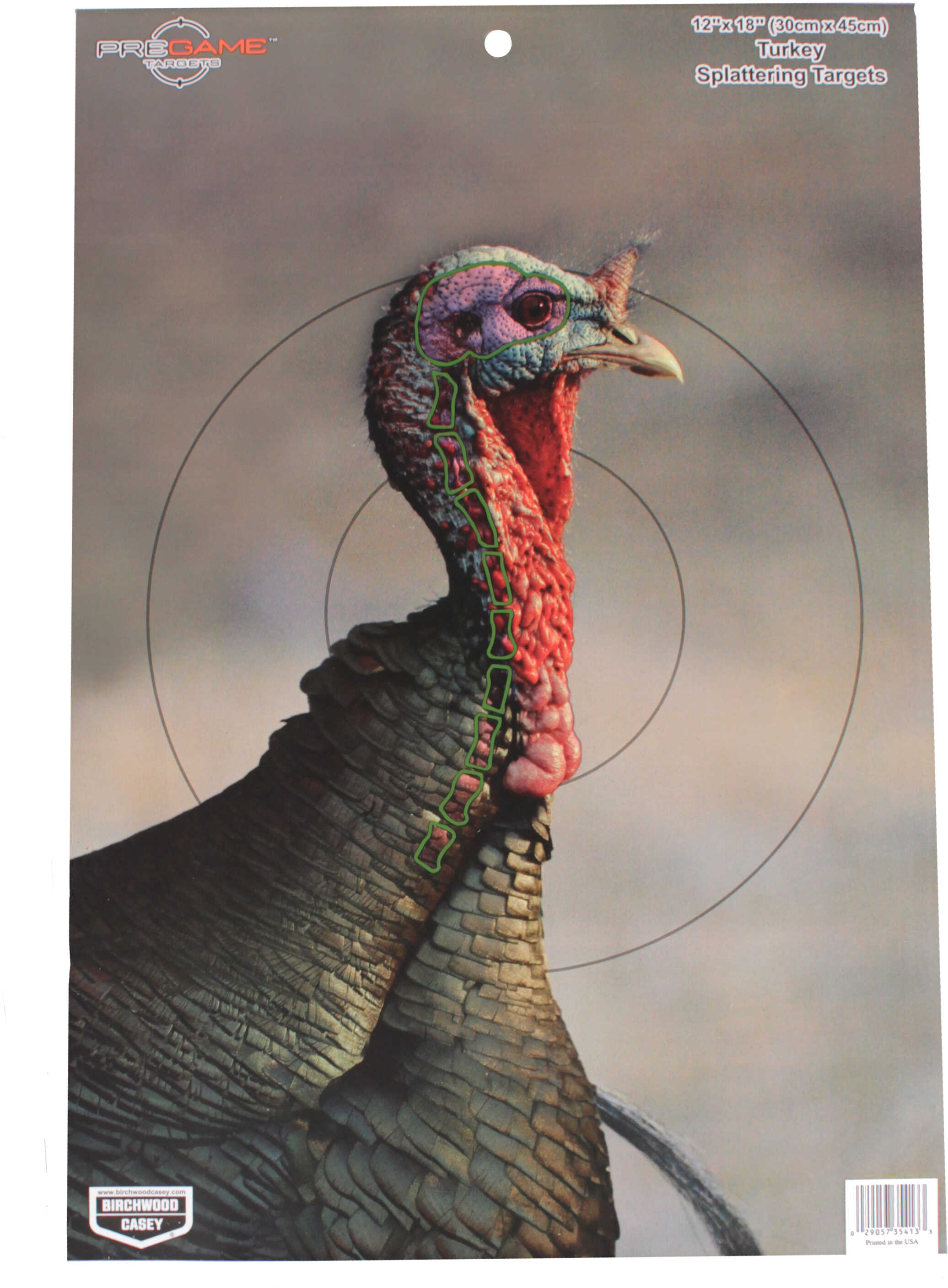 BC PREGAME 12" X 18" Turkey TARGET 8PK