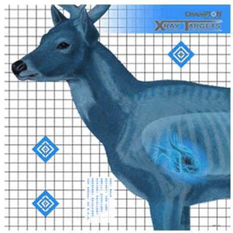 Champion Traps & Targets Deer X-Ray 25X25 6/Pack 45902