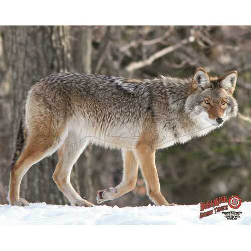 Duramesh Archery Target Coyote 25 in. x 32 in. Model: DM209