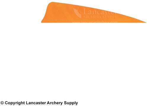 Gateway Shield Cut Feathers Tre White/Orange 4 in. LW 50 pk.