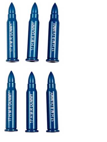 Rimfire Dummy ROUNDS