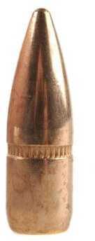 Lightning Bullet .22 Caliber .224 Dia 55Gr