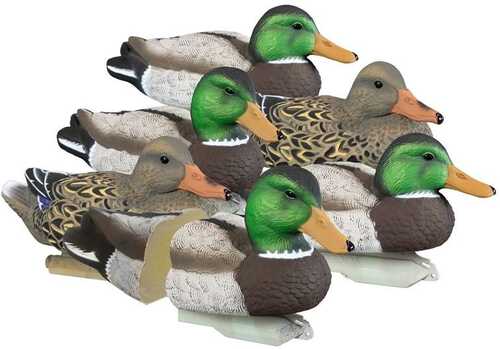 Higdon Outdoors Standard Mallard Foam Filled 6Pk