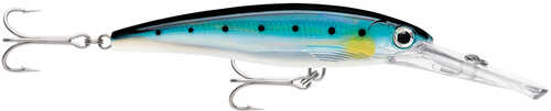 Rapala X-rap&reg; Magnum&reg; 15 Blue Sardine