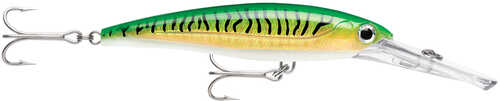 Rapala X-rap&reg; Magnum&reg; 20 Gold Green Mackerel