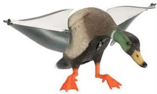 Expedite Rapid Flyer Duck Mallard Drake