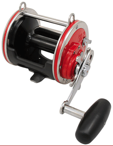 Penn 113HLW Special Senator Reel