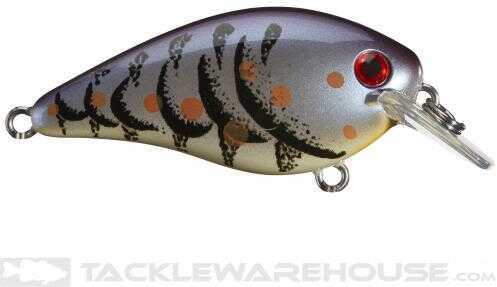 Strike King KVD Square Bill 1.5 Blue Craw