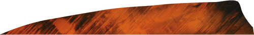 Gateway Shield Cut Feathers Tre Orange 4 in. LW 50 pk.