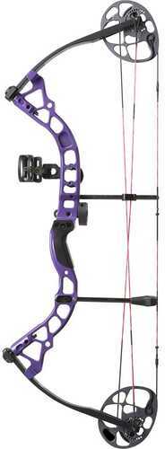 Diamond Prism Bow Package Purple 18-30 in. 5-55 lbs. LH Model: B12709