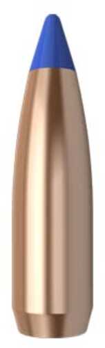 Nosler 25 Caliber 85 Grains Ballistic Tip