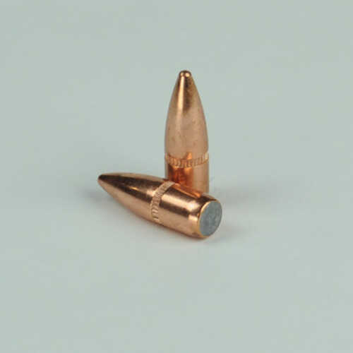 OEM Blem Bullets 22 Caliber .224 Diameter 55 Grain Full Metal Jacket Boat Tail w/Cannelure 100 Count (Blemished)