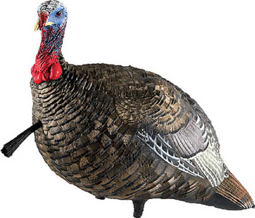 AVIAN X TURKEY DECOY LCD 1/4 STRUT JAKE Model: AVX-AVX8003