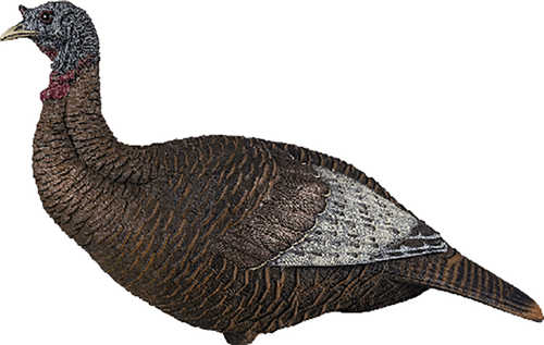 Flextone Turkey Decoy Thunder Chick Upright