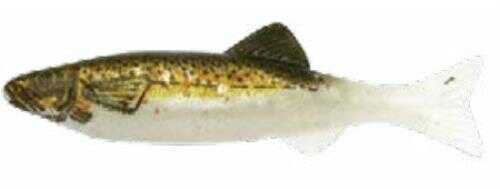 Renosky Keystone Jig Minnow 1/16Oz .75" 1 Rig Brown Trout Model: KJM116-BT