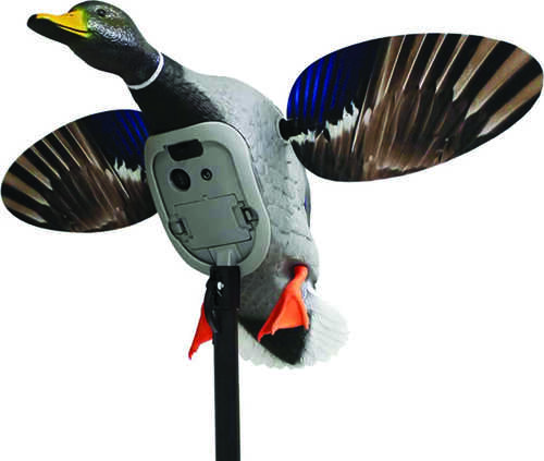 MOJO ES KING MALLARD DECOY ELITE SERIES Model: HW2520