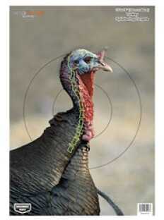 BC PREGAME 12" X 18" Turkey TARGET 8PK