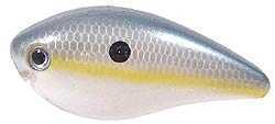 Sk KVD SQUAREBILL 2.5 Sexy Shad