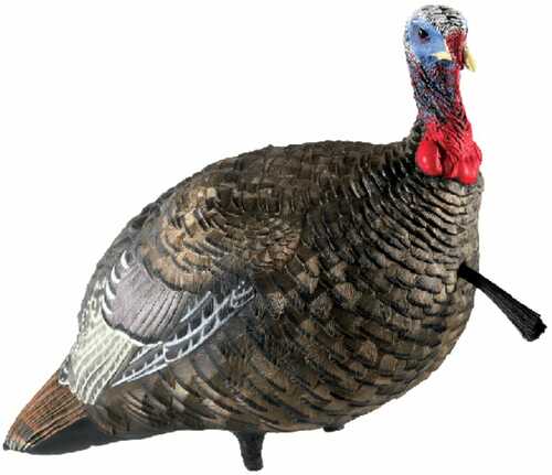 Avian-X LCD Quarter Strut Jake Decoy