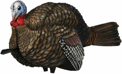 Avian-X LCD Half-Strut Jake Decoy