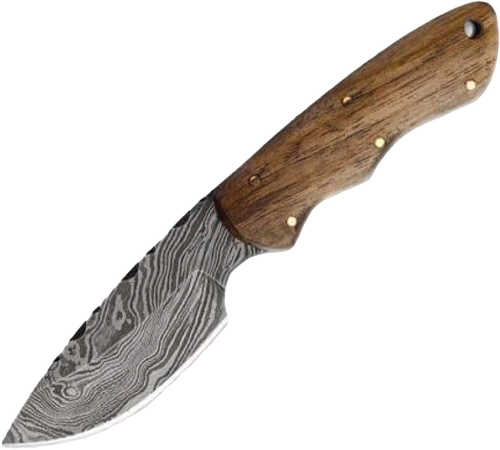 BucknBear Mini Camper Fixed 3.25 in Blade Walnut Handle