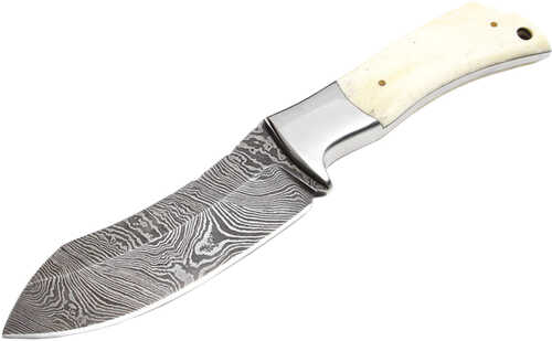 BucknBear Recurve Hunter Fixed 4.25 in Blade Bone Handle