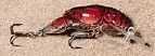 Rebel Big Craw 2 5/8" Ditch Brown