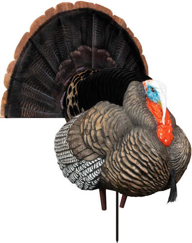 Higdon Outdoors 63148 Hard Body Apex Strutter Turkey Tom Species Multi Color