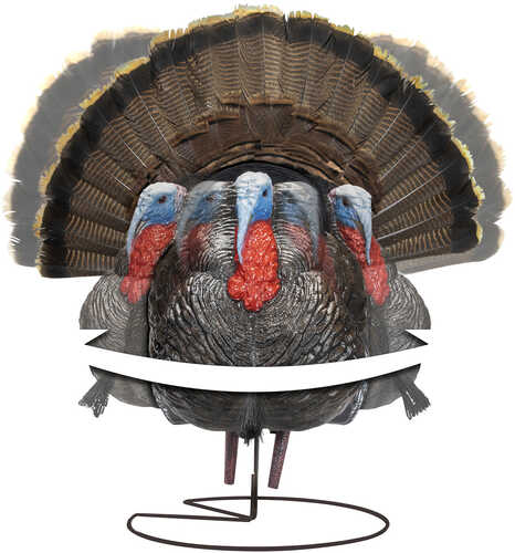 Higdon Outdoors 63175 Tru-strutter Xs Turkey Tom Species Xs Motion