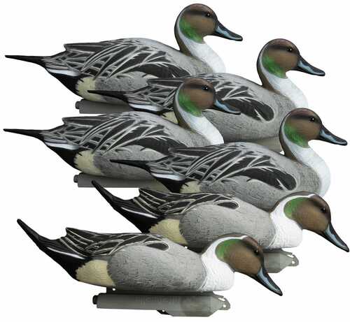 Higdon Outdoors 16544 Battleship Pintail Species Multi Color Foam Filled 6 Pack