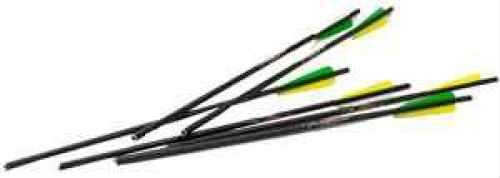 Excalibur Aluminum 20" 2216 Xx75 Vanes Per6 Md: 2216V20-6